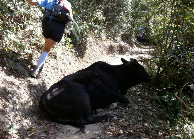 trail-2